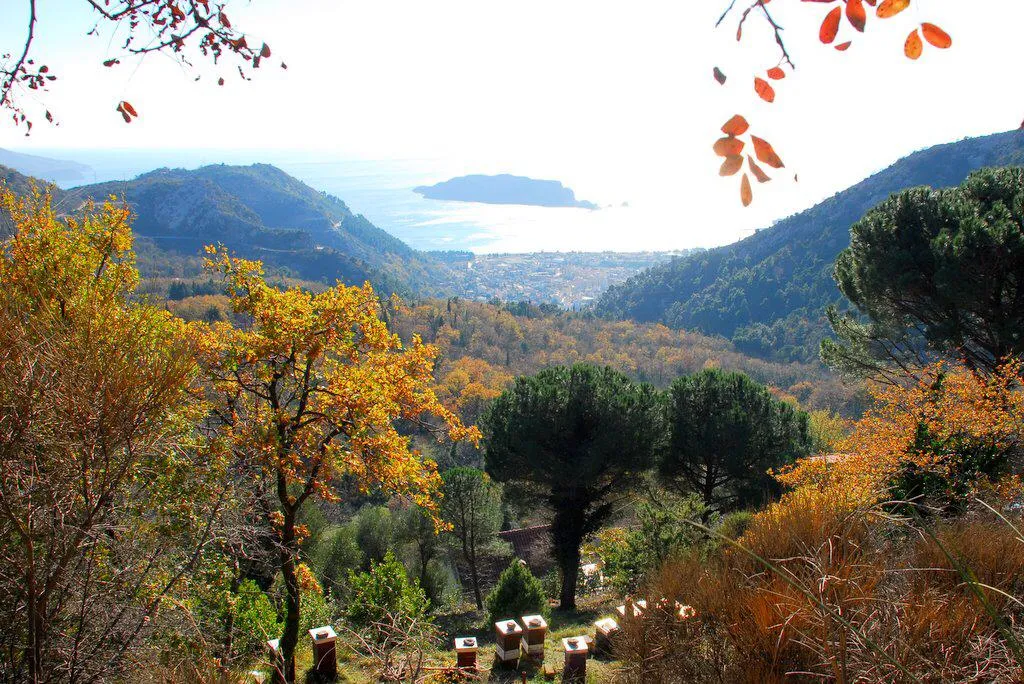 Baugrundstück in Markovice